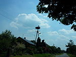 Stork nest 3 Stary Bazanow